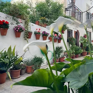  Apartamento El Rinconcito De Antonia